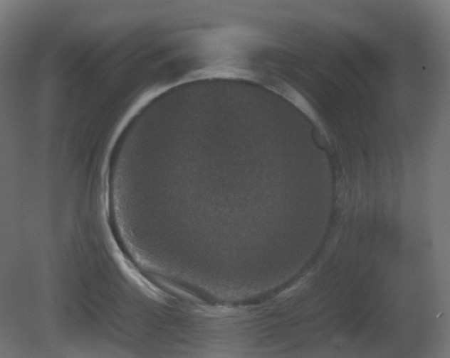 X0000081411132200701121202