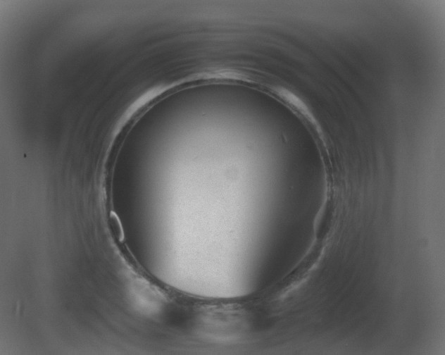 X0000081411133200701121202