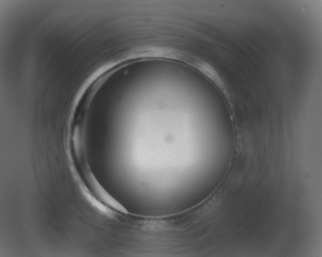 X0000081411136200701121202