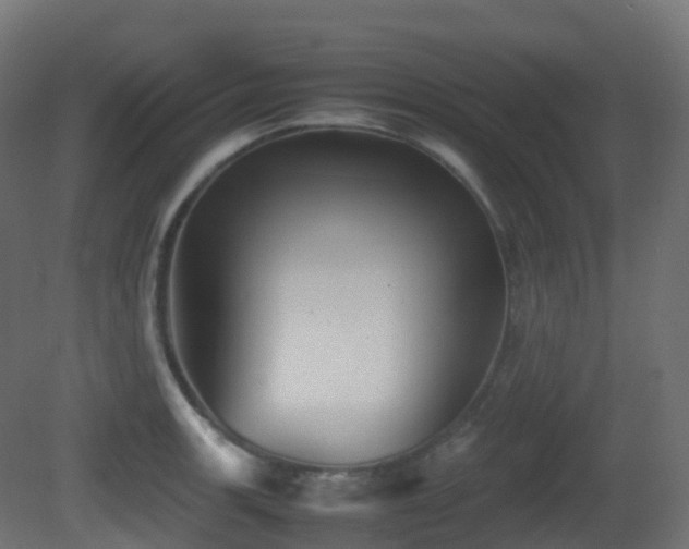 X0000081411139200701121202