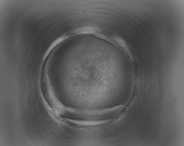 X0000081411146200701121202