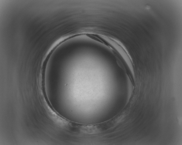 X0000081411147200701121202