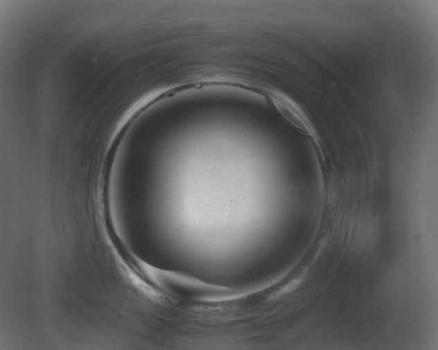 X0000081411149200701121202