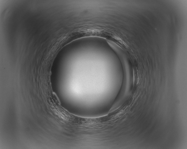 X0000081411153200701121202