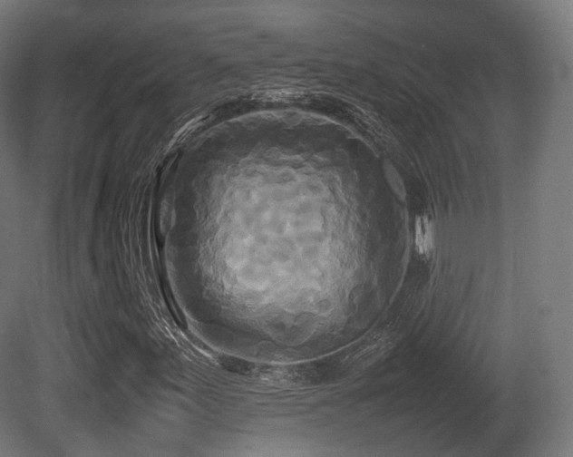 X0000081411155200701121202