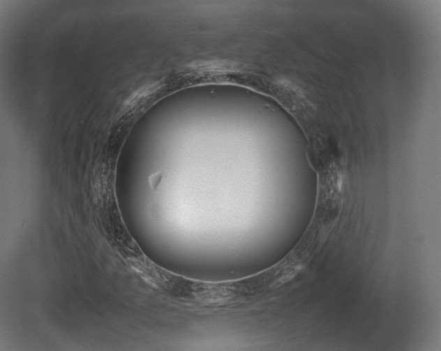X0000081411157200701121202