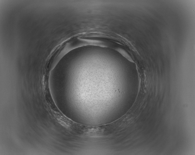 X0000081411160200701121202