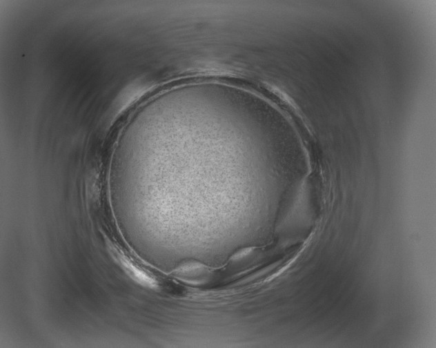 X0000081411163200701121201