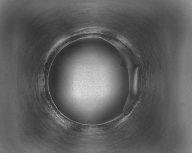 X0000081411164200701121201