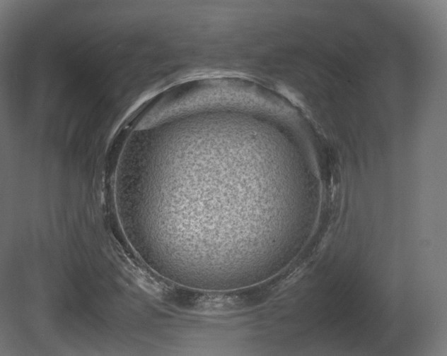X0000081411165200701121201