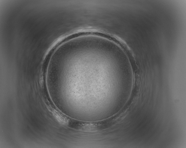 X0000081411167200701121201