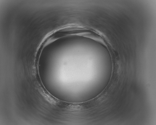 X0000081411168200701121201