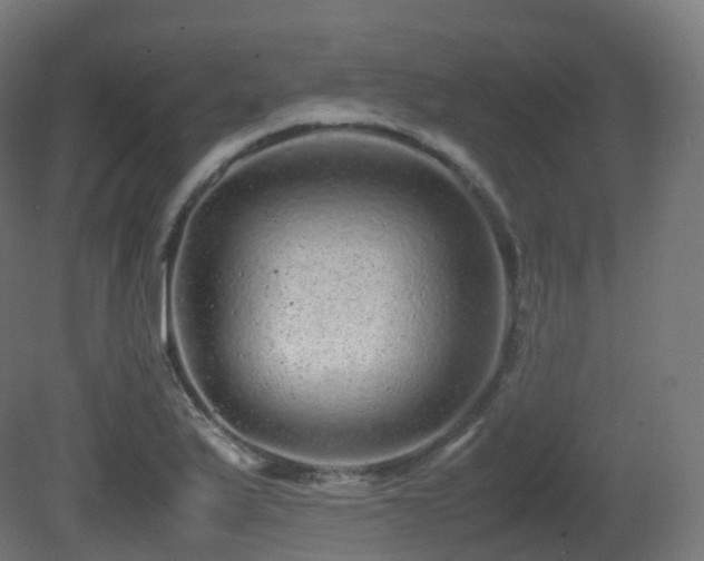 X0000081411175200701121201