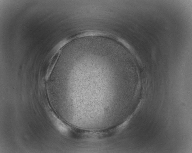 X0000081411185200701121201