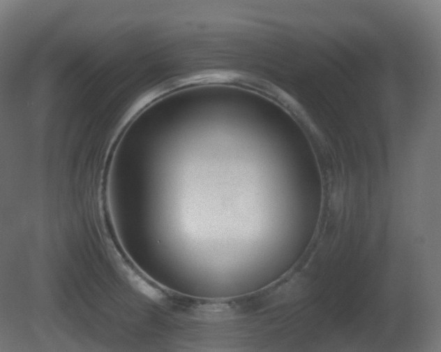 X0000081411186200701121201