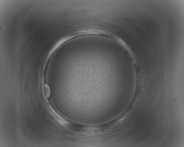 X0000081411187200701121201