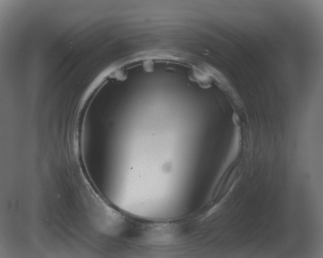 X0000081411188200701121201