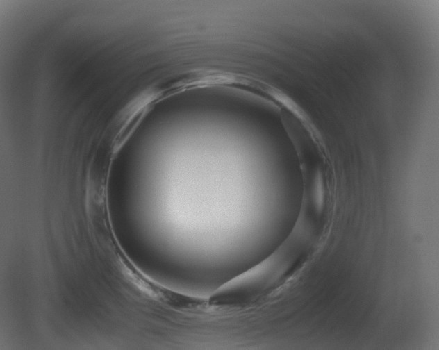 X0000081411193200701121201