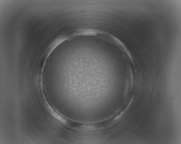 X0000081411194200701121201