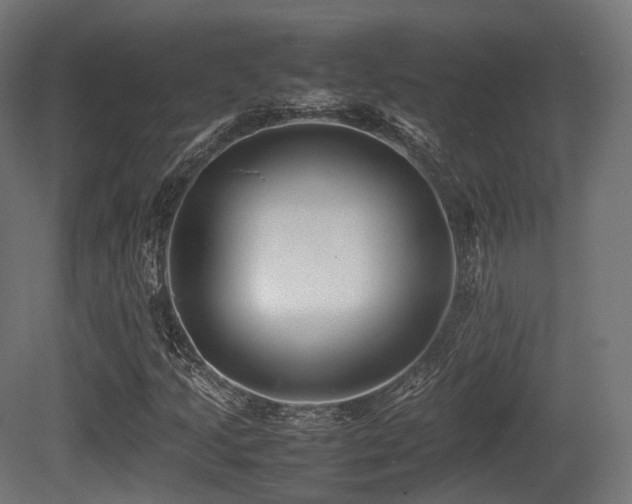 X0000081411205200701121200