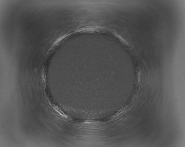 X0000081411206200701121200
