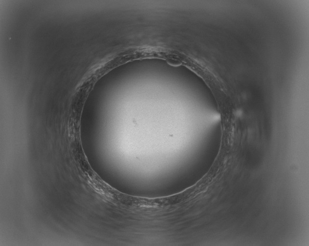 X0000081411207200701121200