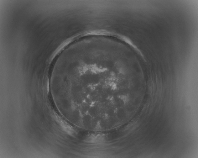 X0000081411221200701121200
