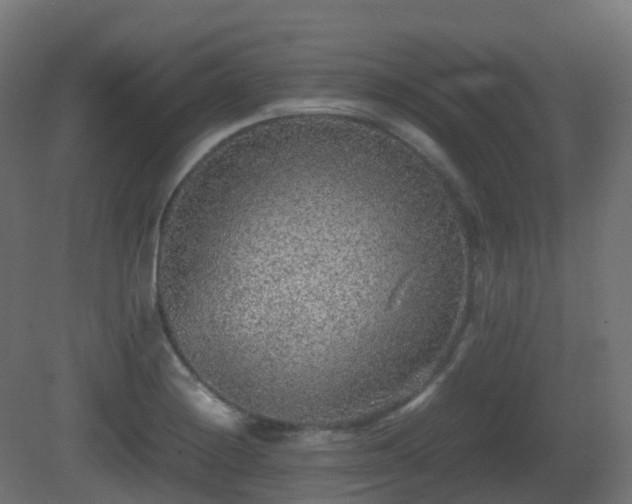 X0000081411228200701121200
