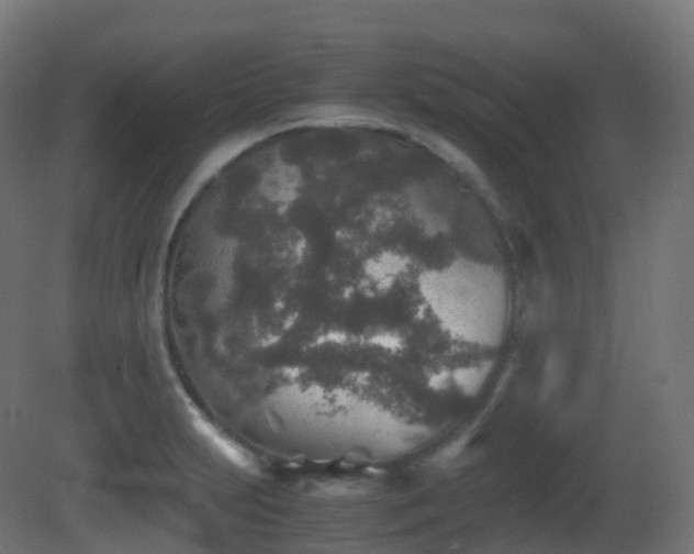 X0000081411231200701121201