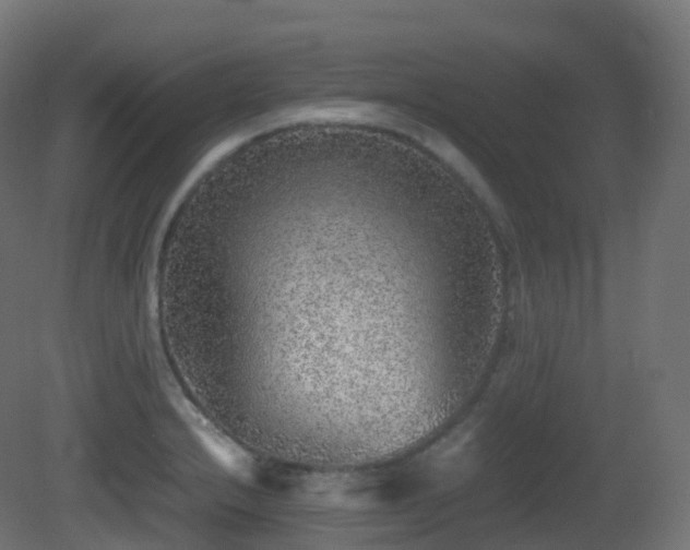 X0000081411232200701121201