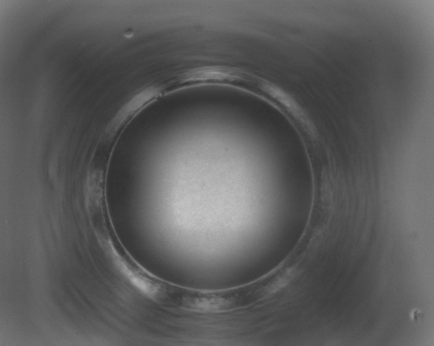 X0000081411233200701121201