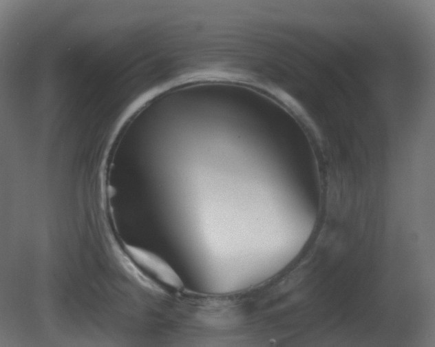 X0000081411238200701121201