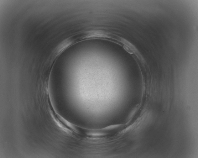 X0000081411241200701121201