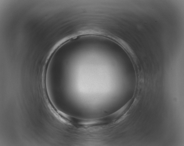 X0000081411246200701121201