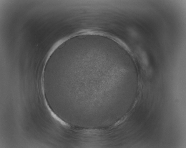 X0000081411247200701121201