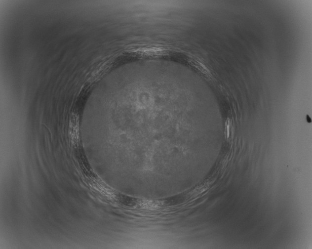 X0000081411251200701121200