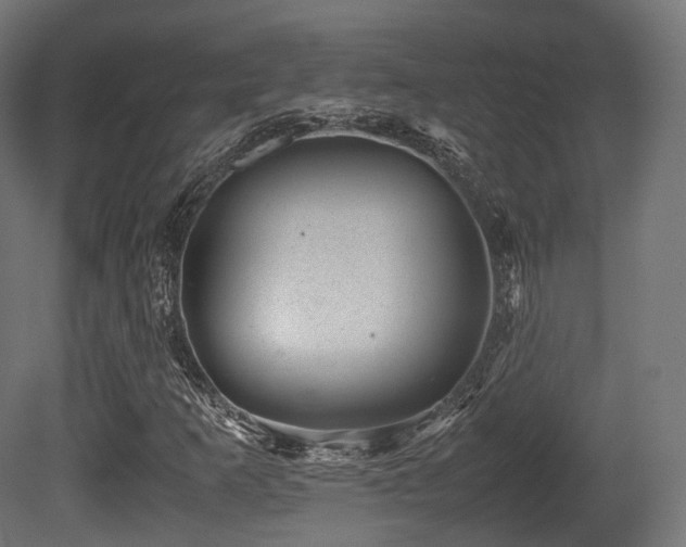 X0000081411253200701121200