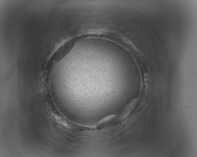 X0000081411256200701121200