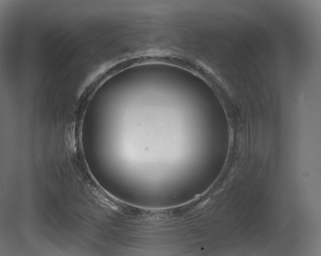 X0000081411262200701121200