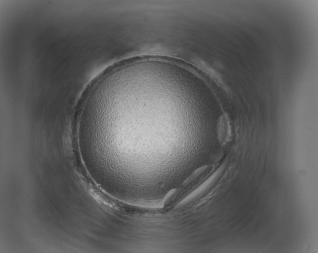 X0000081411264200701121200