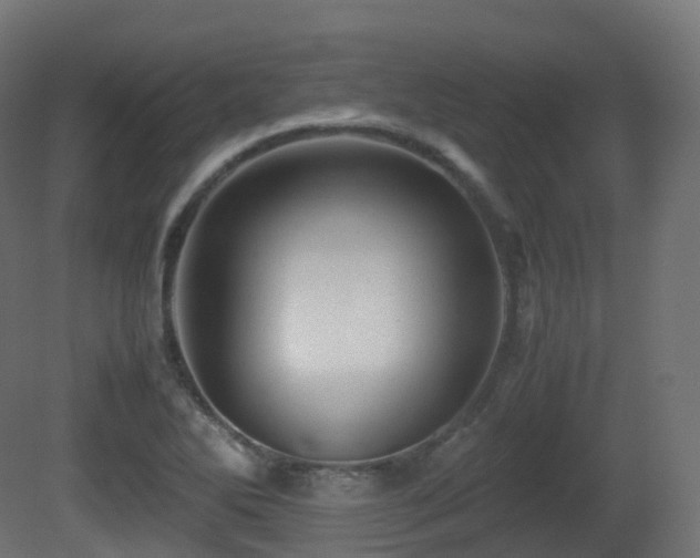 X0000081411270200701121159