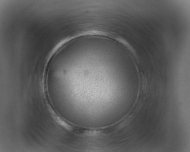 X0000081411278200701121159