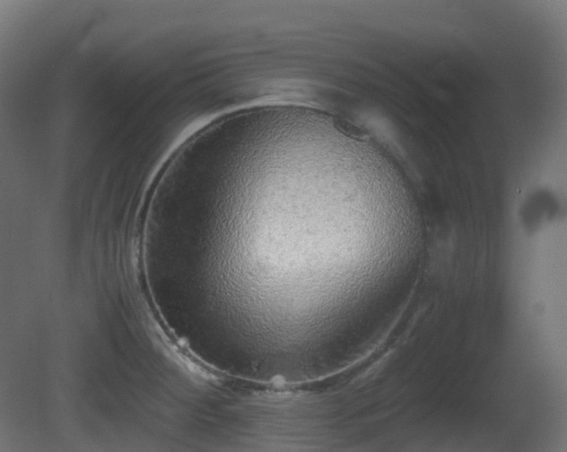X0000081411284200701121159