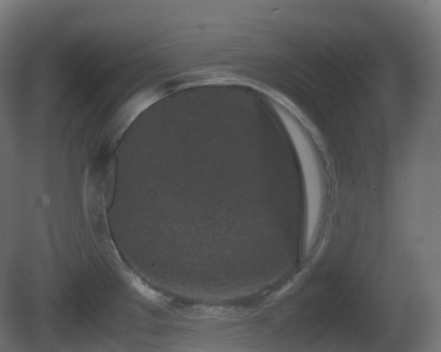 X0000081411289200701121159