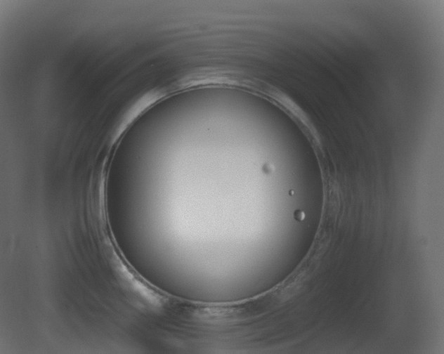 X0000081411290200701121159