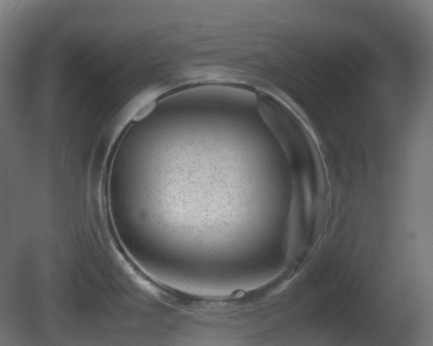 X0000081411293200701121159