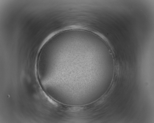 X0000081411294200701121159