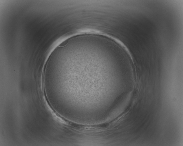 X0000081411295200701121159