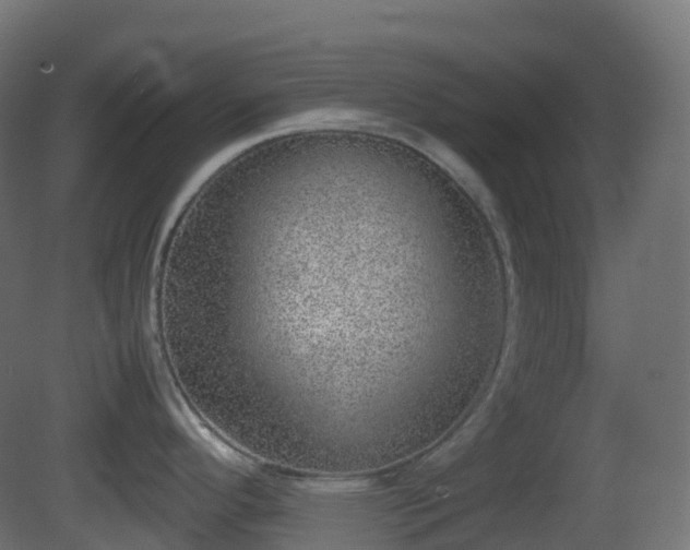 X0000081411296200701121159