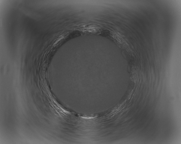 X0000081411297200701121158